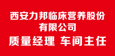 长安最新招聘信息全面解析