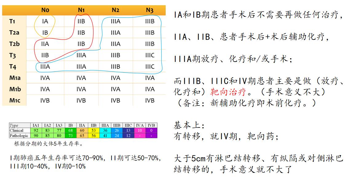 最新TNM分期标准在肿瘤诊疗中的应用及意义解析