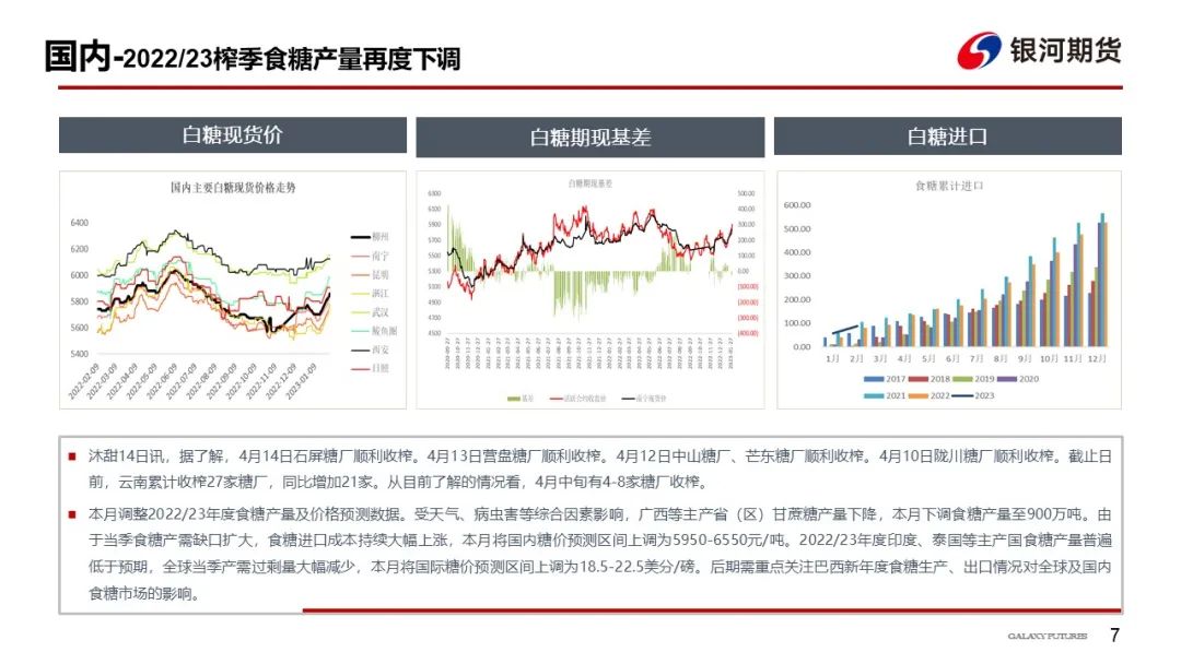 国际糖价最新动态分析报告