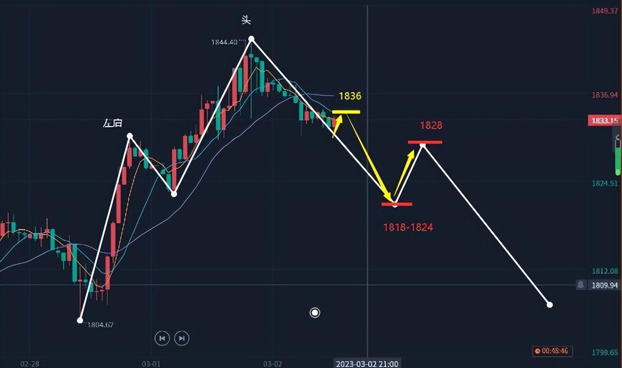 葱价格最新行情解析