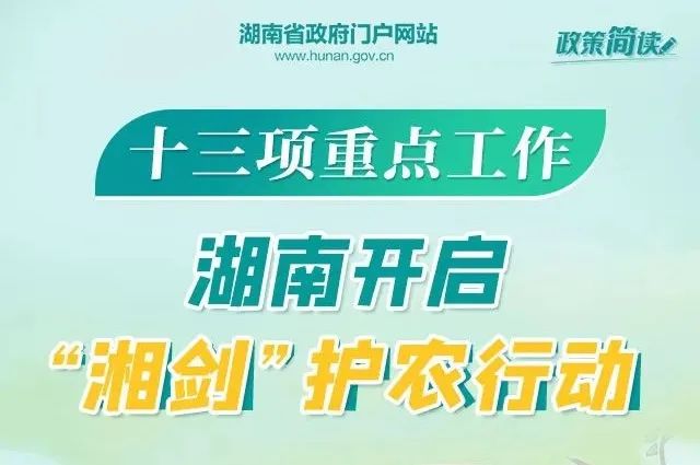 辛章最新招聘动态与人才发展战略深度解析