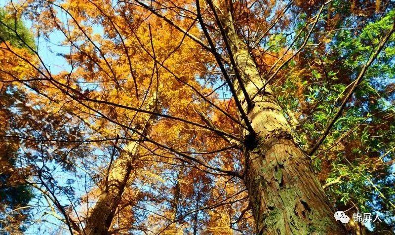 锦屏县自然资源和规划局最新发展规划概览