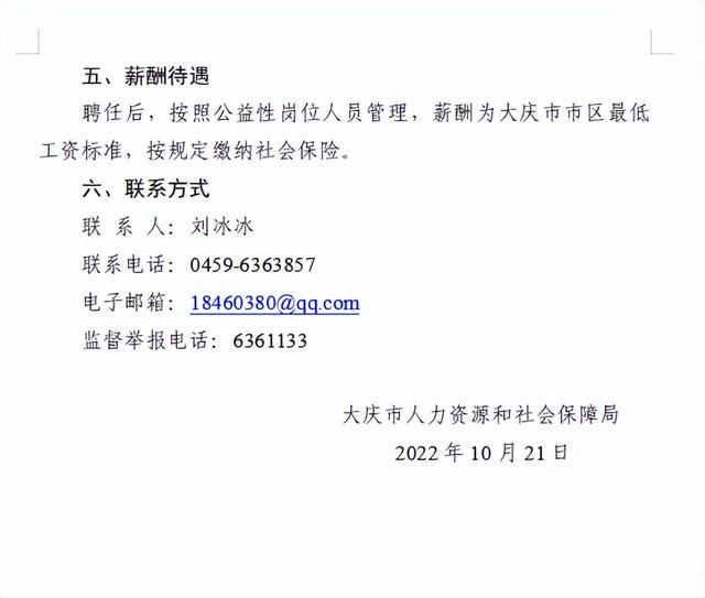 向阳区人社局最新招聘信息概览