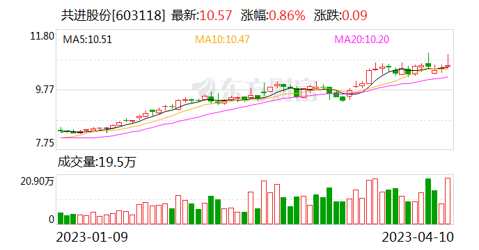 2024年12月7日 第28页