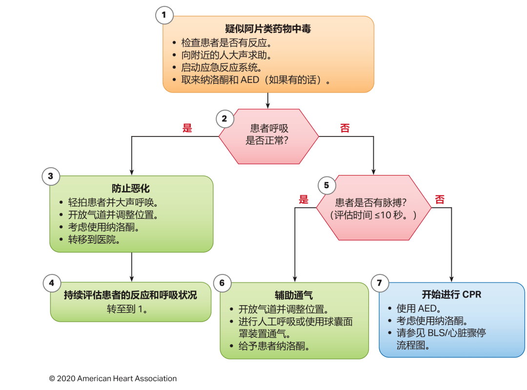 心肺复苏，最新指南与实践解析