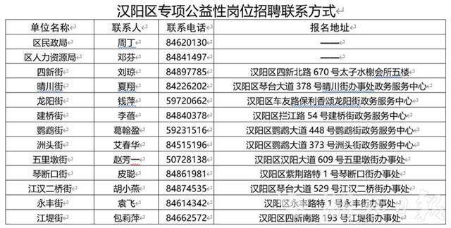 汉阳区人力资源和社会保障局最新招聘信息汇总