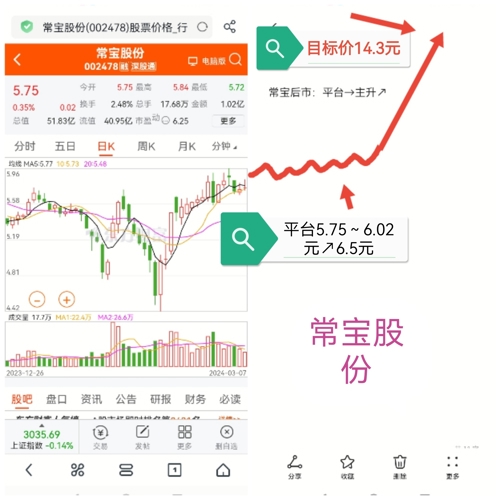 常宝股份最新消息全面解读与分析