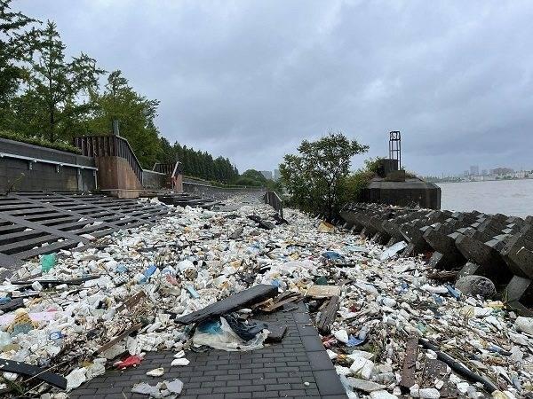 最新台风路径实时发布系统，科技护航，保障安全，台风预警升级！