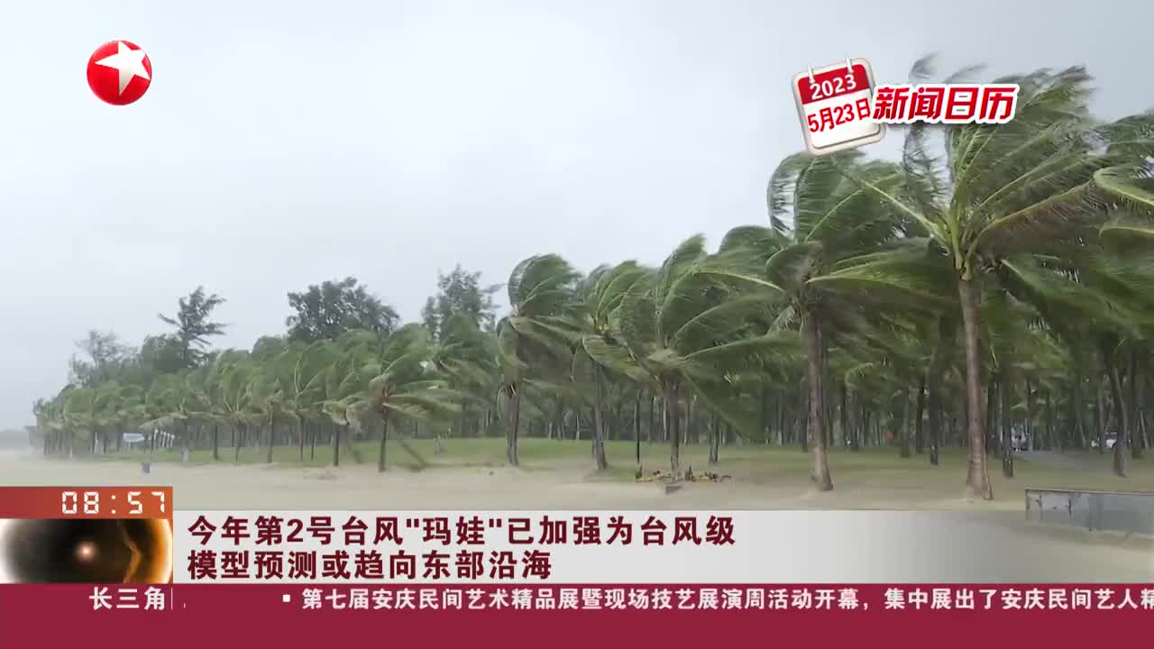 台风玛娃最新动态，全面解析影响及应对措施