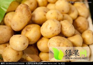 土豆最新价格动态解析报告