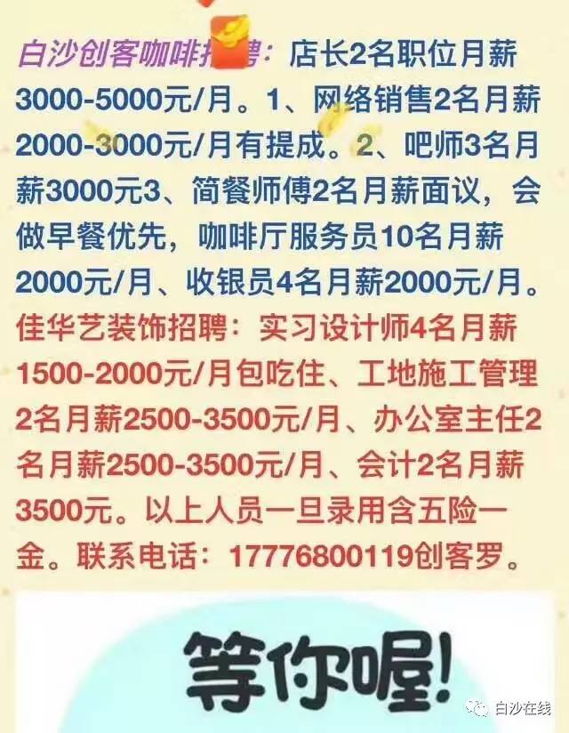 白沙招聘网，最新招聘动态，职业发展理想选择平台