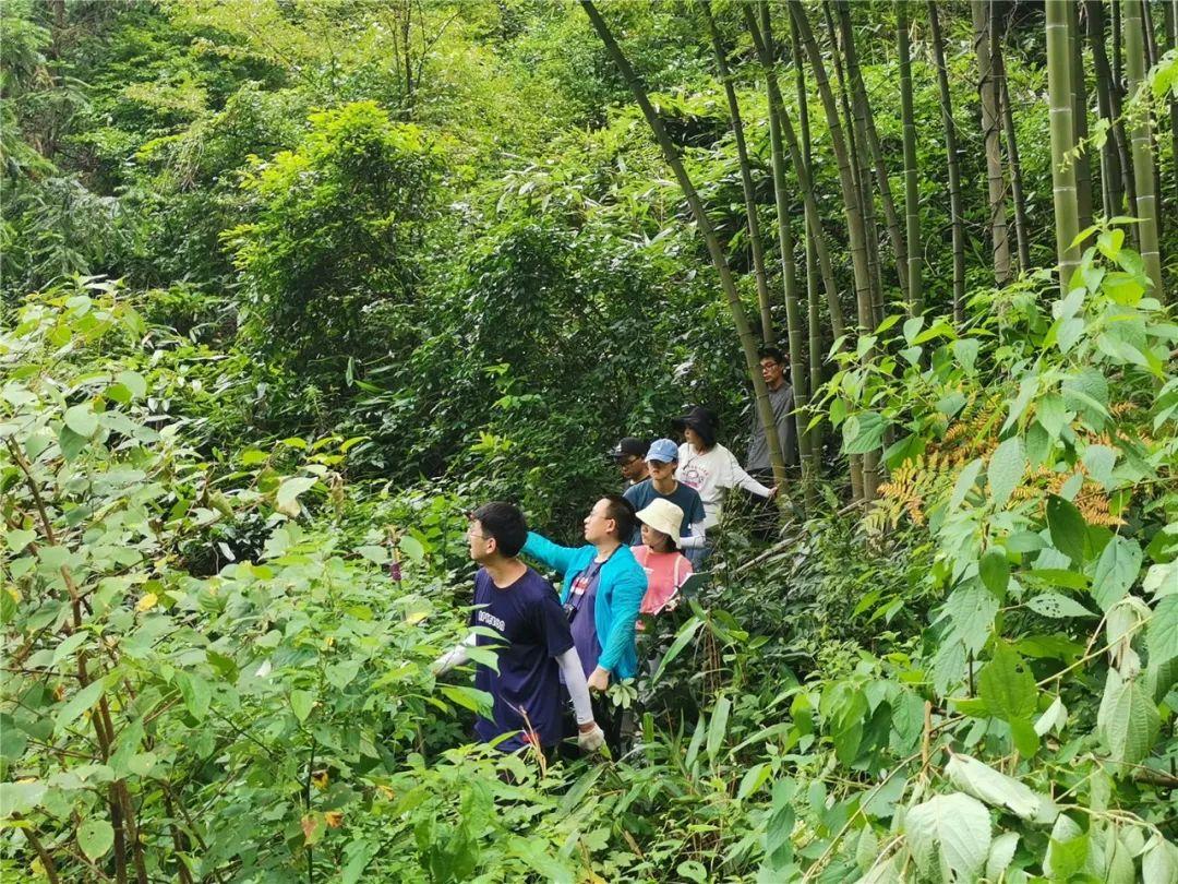 龙游县水利局领导团队最新概况