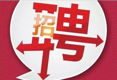 丰台区科技局最新招聘信息与职业机会深度探讨