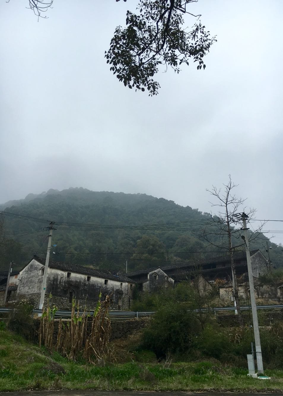 知能村今日天气预报更新通知