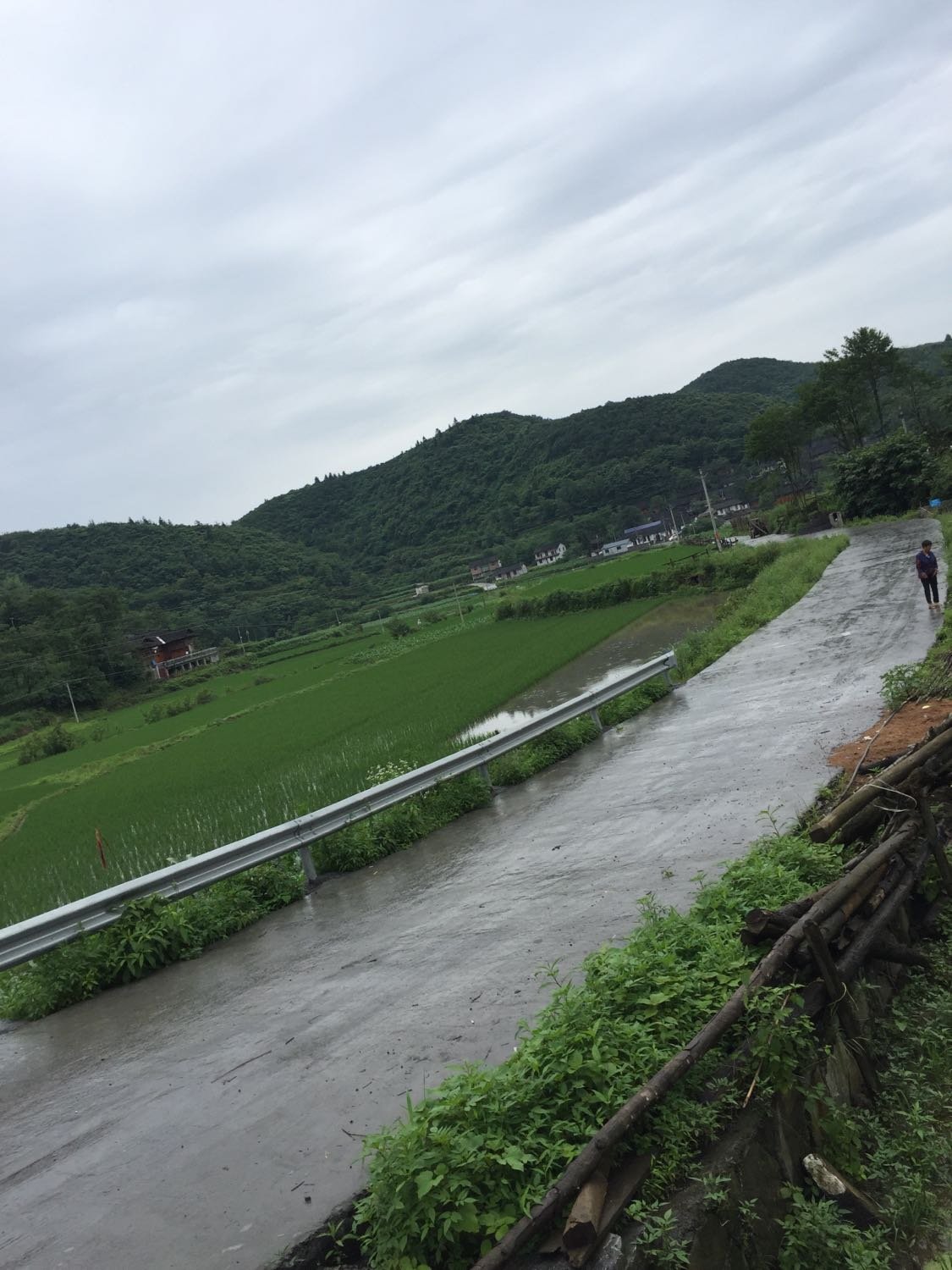 蔡市镇最新天气预报