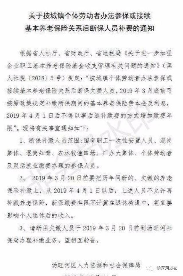 汤旺河区人力资源和社会保障局最新项目探索与实践成果