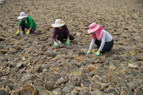 洛浦县人民政府办公室领导团队简介