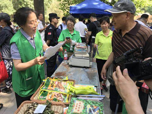 乃林镇新项目，地区发展的强大引擎驱动力