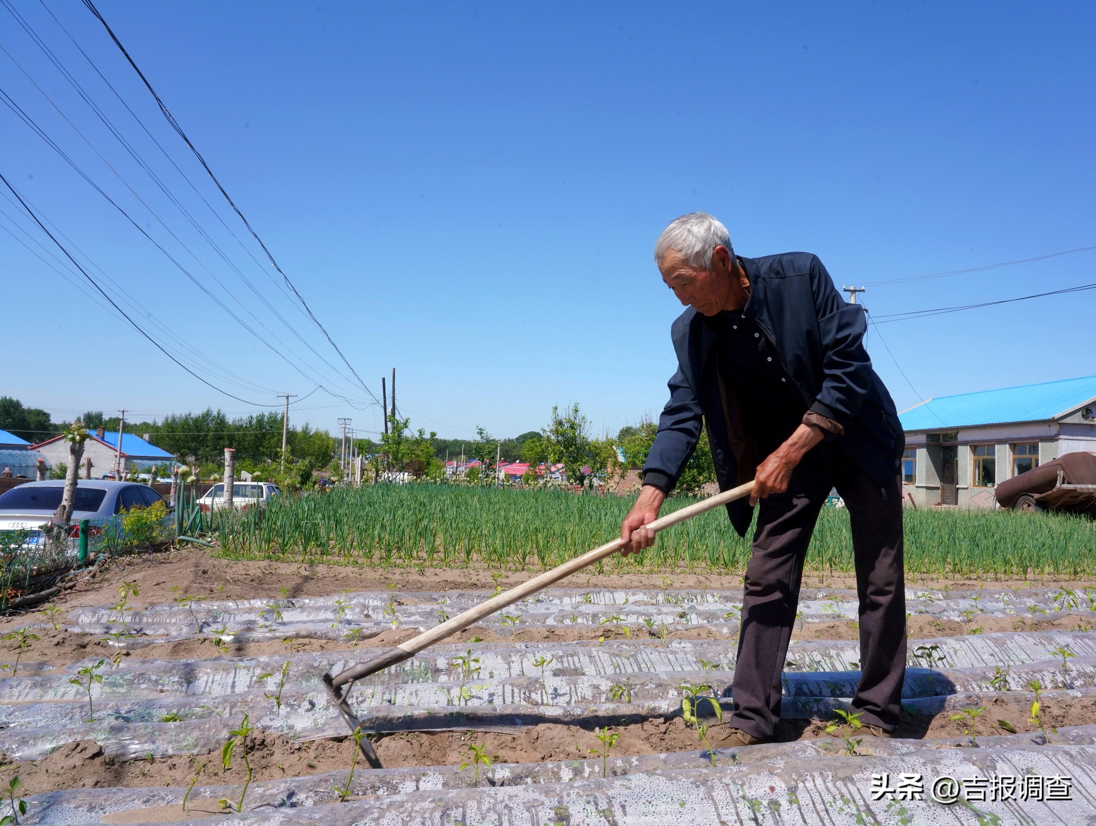 千金乡新领导团队引领下的新气象