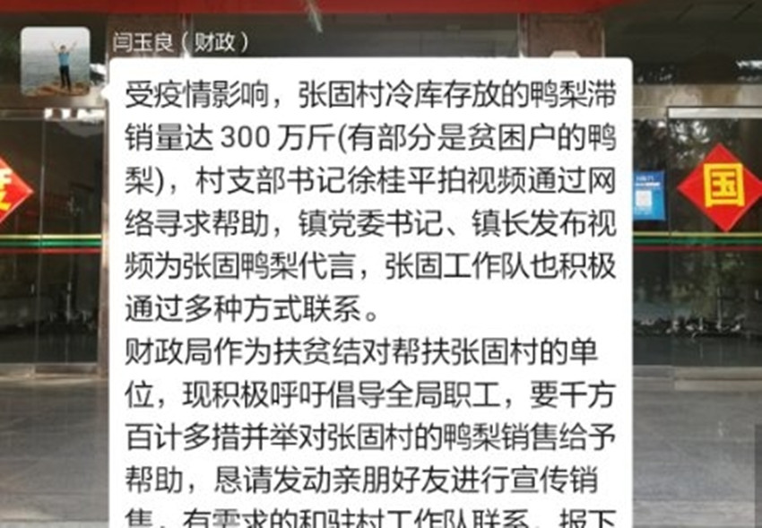 魏县财政局最新招聘启事概览