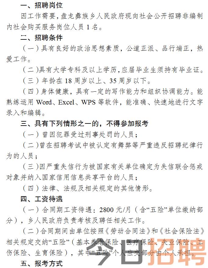 河南蒙古族自治县人民政府办公室最新招聘公告概览