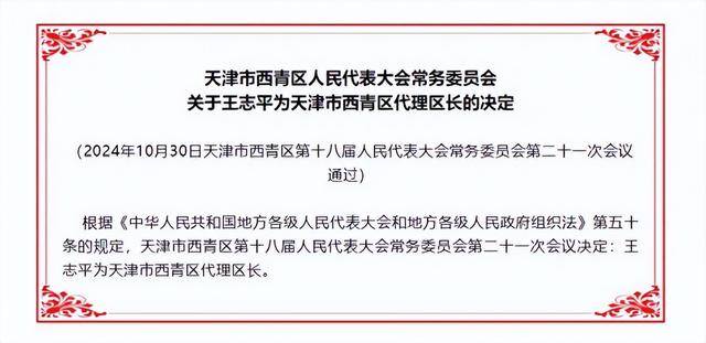 武清区最新人事任命，新一轮人才布局助力区域发展腾飞